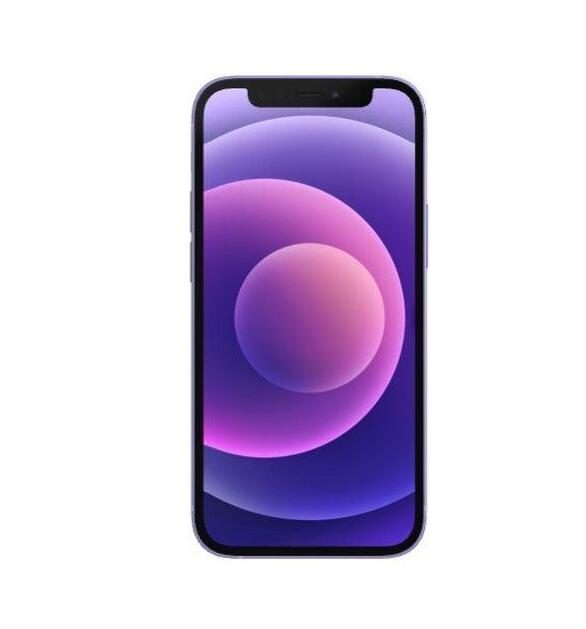 iPhone 12 64GB Purple A Grade 100% Battery Health (Pre-Owned) – additional product view (model illustration)